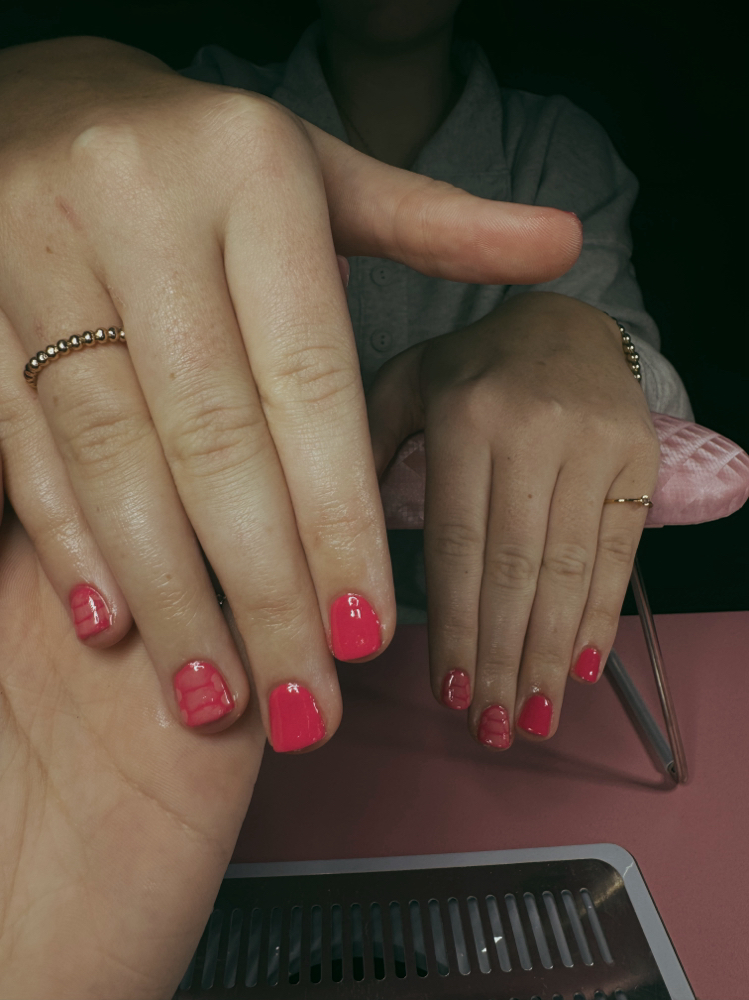 Gel Manicure at Jozi Does Nails in Wartburg, TN