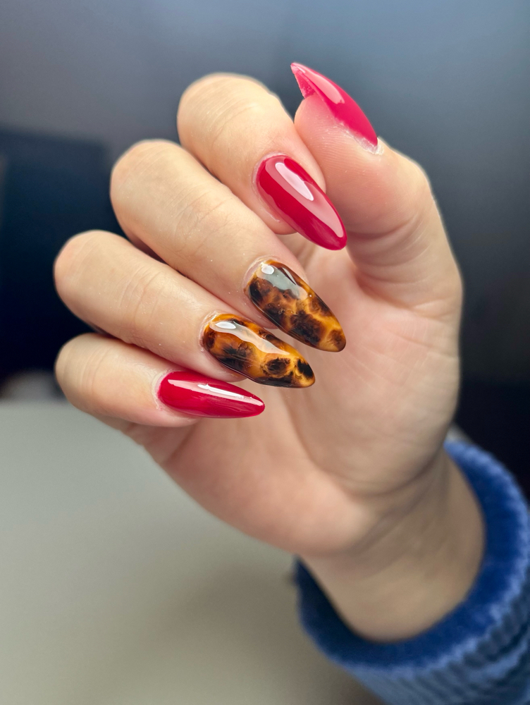 ๐๐๐ ๐ | ๐๐๐๐๐/๐๐๐๐๐๐