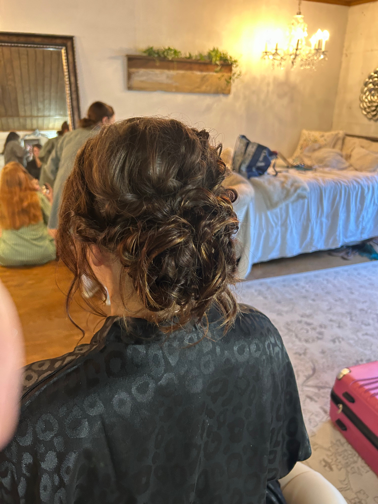 Hair Braided Updo