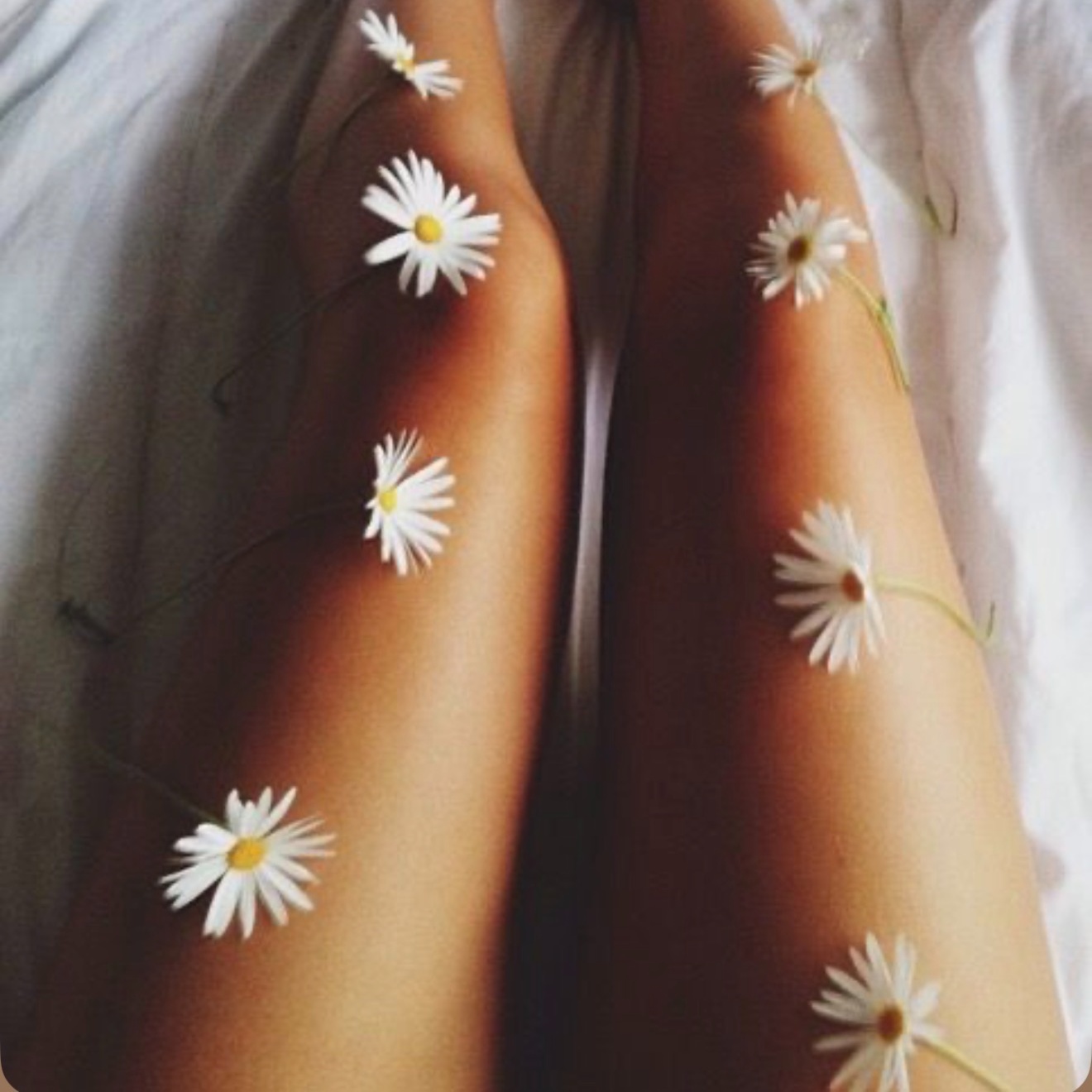 Zinnia Stems 🌺 Upper Legs at Zinnia Waxing Studio in Wichita, KS