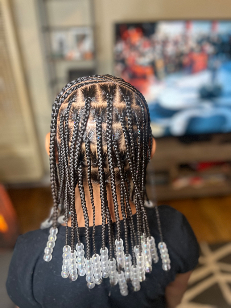 Box Braids/singles Or Twist
