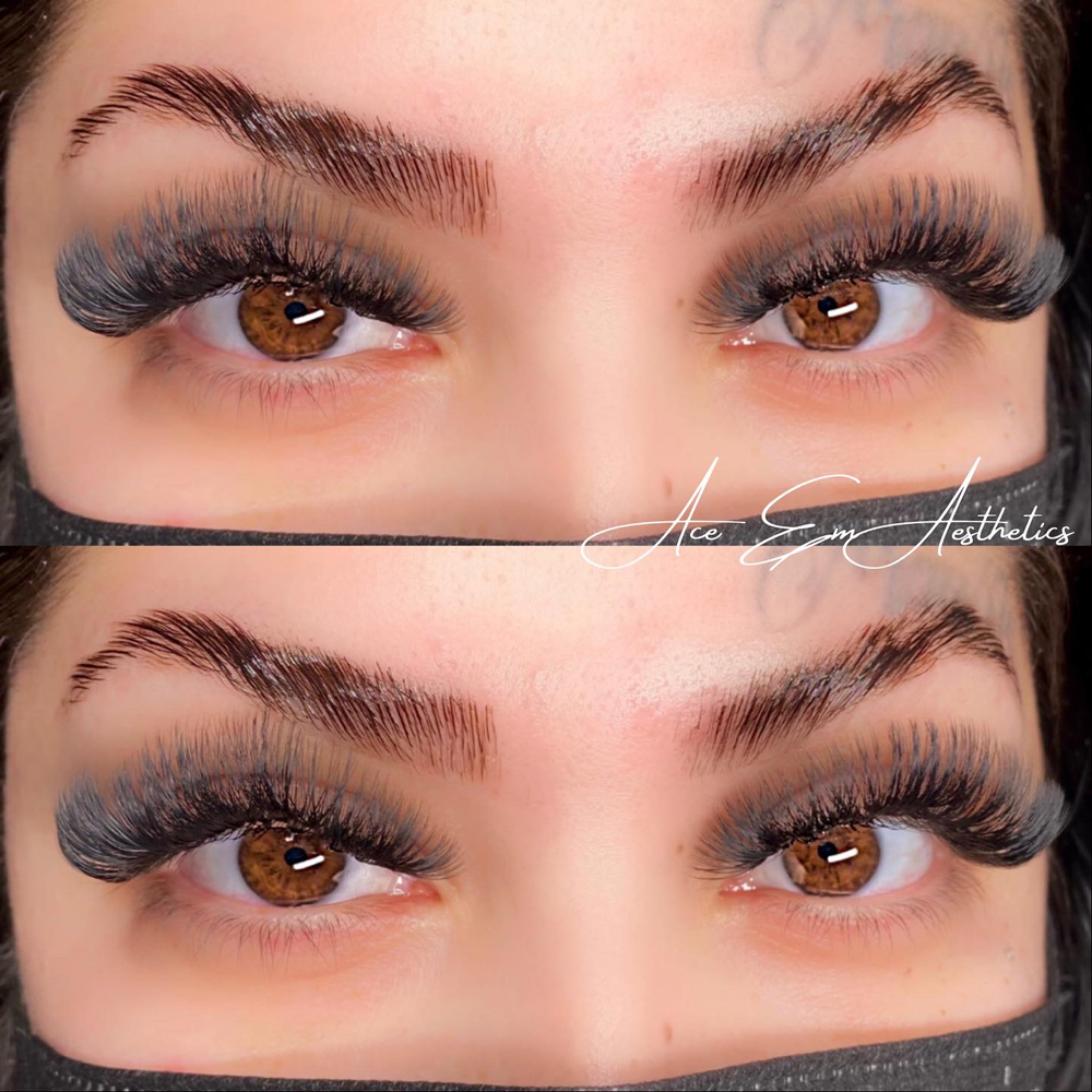 Hybrid Full Set + Brow Lam,Wax,Tint