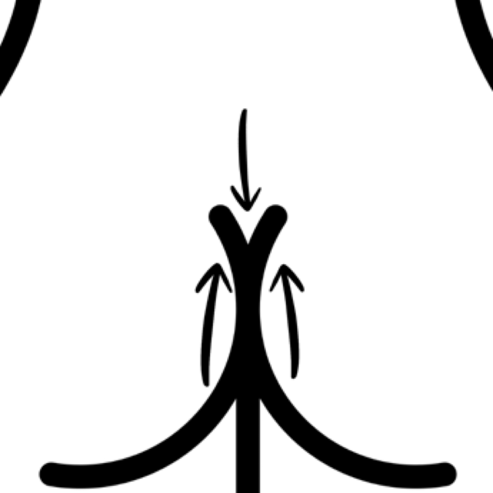 Womens Inner Backside Wax at Wicked Waxing Studio in Lexington, KY