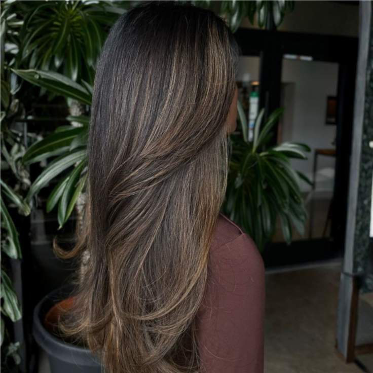 LOWLIGHTS at CLASSY HAIR STUDIO in Olathe, KS