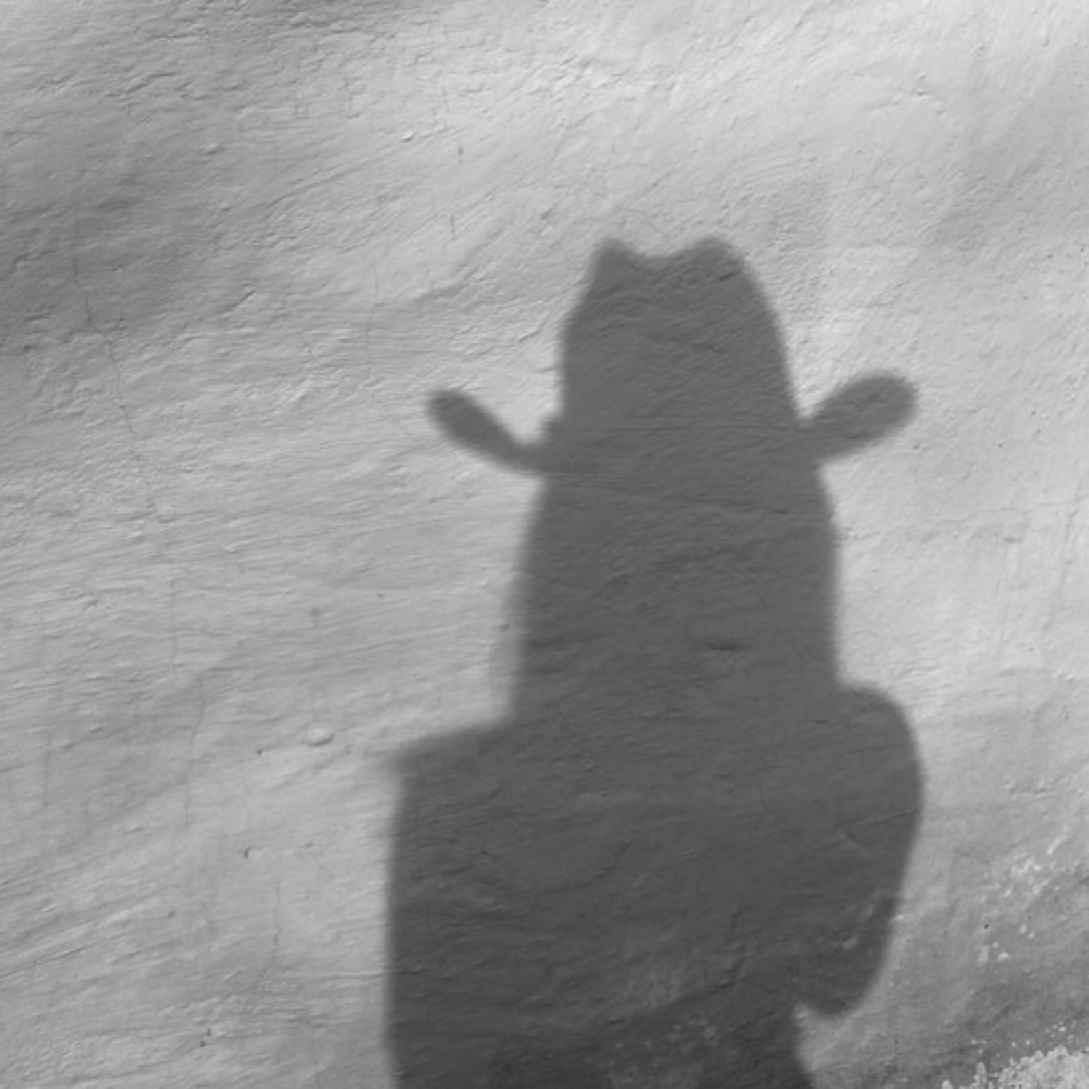 signature haircut at Desert Blonde Suite in Chandler, AZ