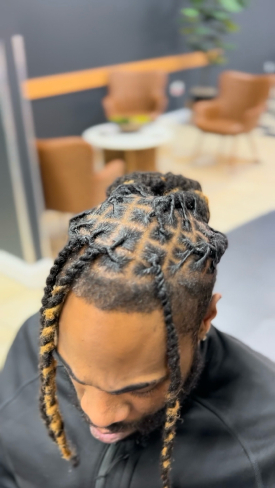 Loc Bun Style