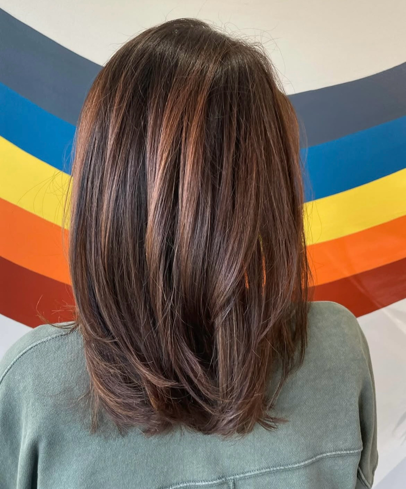 Hair Gloss/toner & haircut at North & South Styles by Bri in Wake Forest, NC