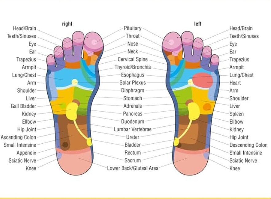 Reflexology Foot Massage