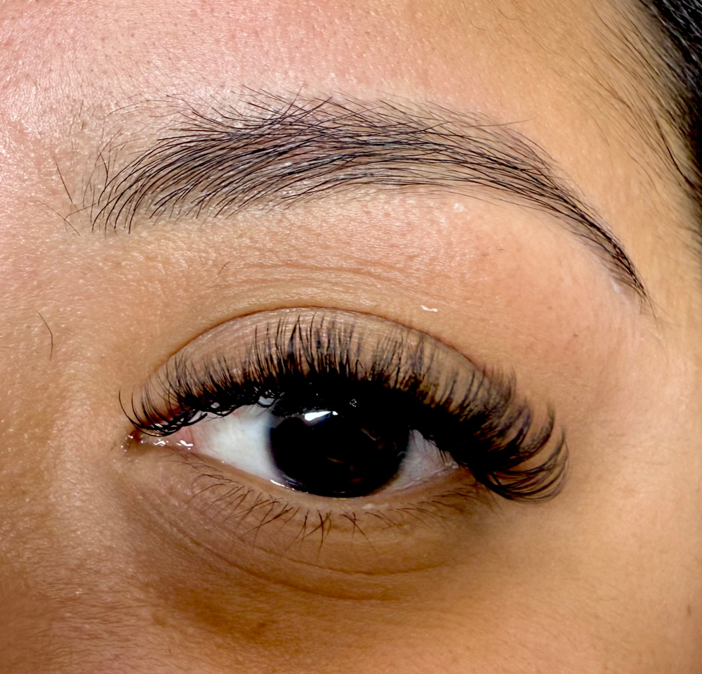Eyebrow Wax Only at Rowdy Esthetics in Evans, CO
