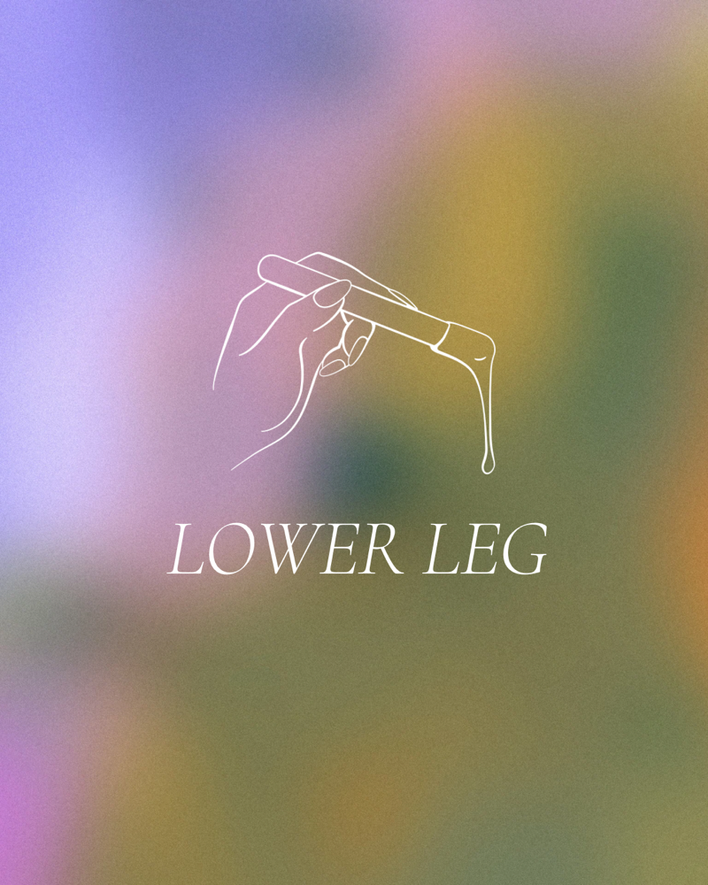 Lower Leg