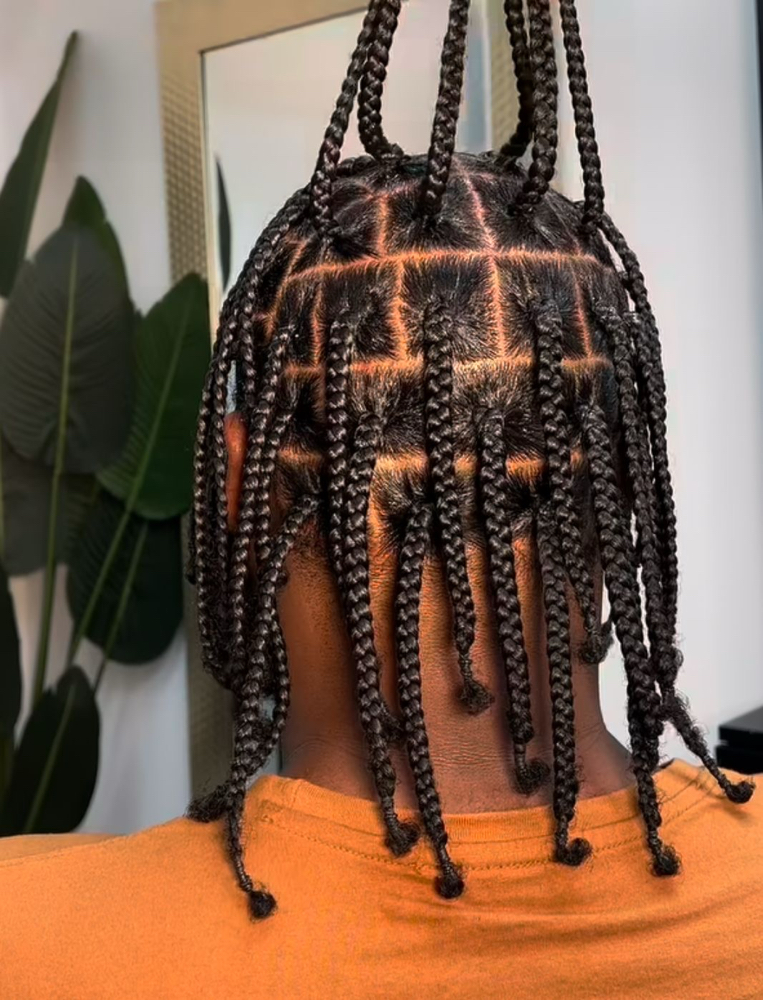 Mens Braids/Plaits