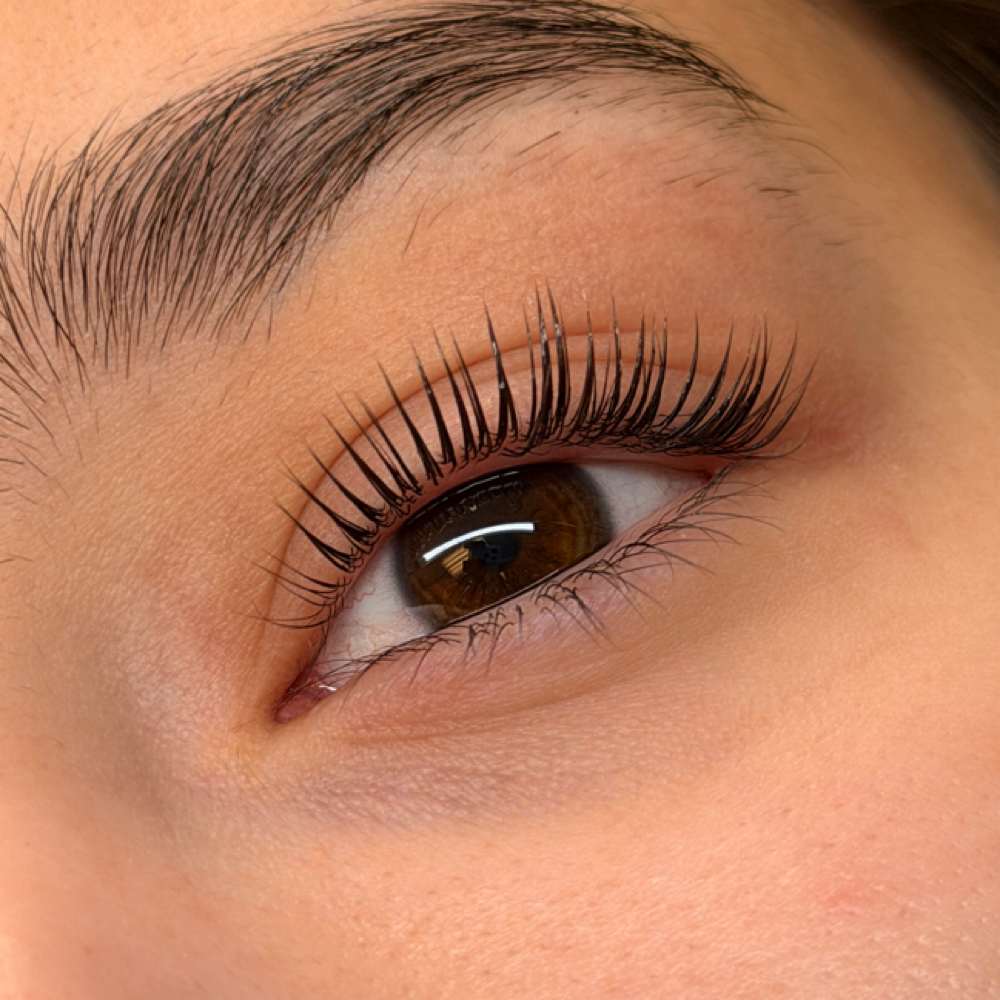 Korean Lash lift at The Eleva SalΓ³n in Centennial, CO