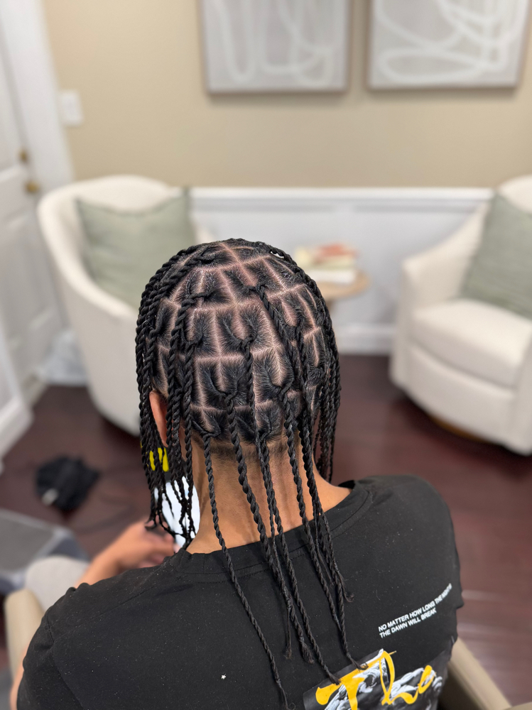 Small Flat Twist or Box Braids