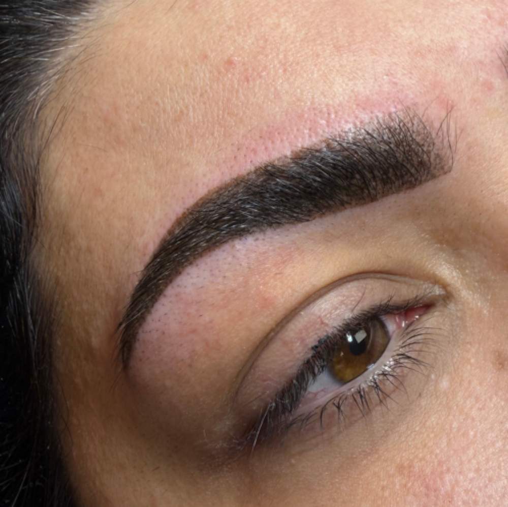 Ombre Brows at Brow Luxe PMU by Rona in Santa Clara, CA