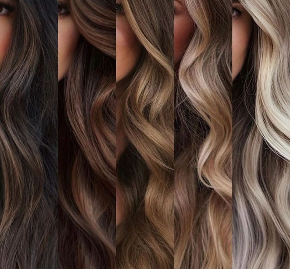 Color Consultation