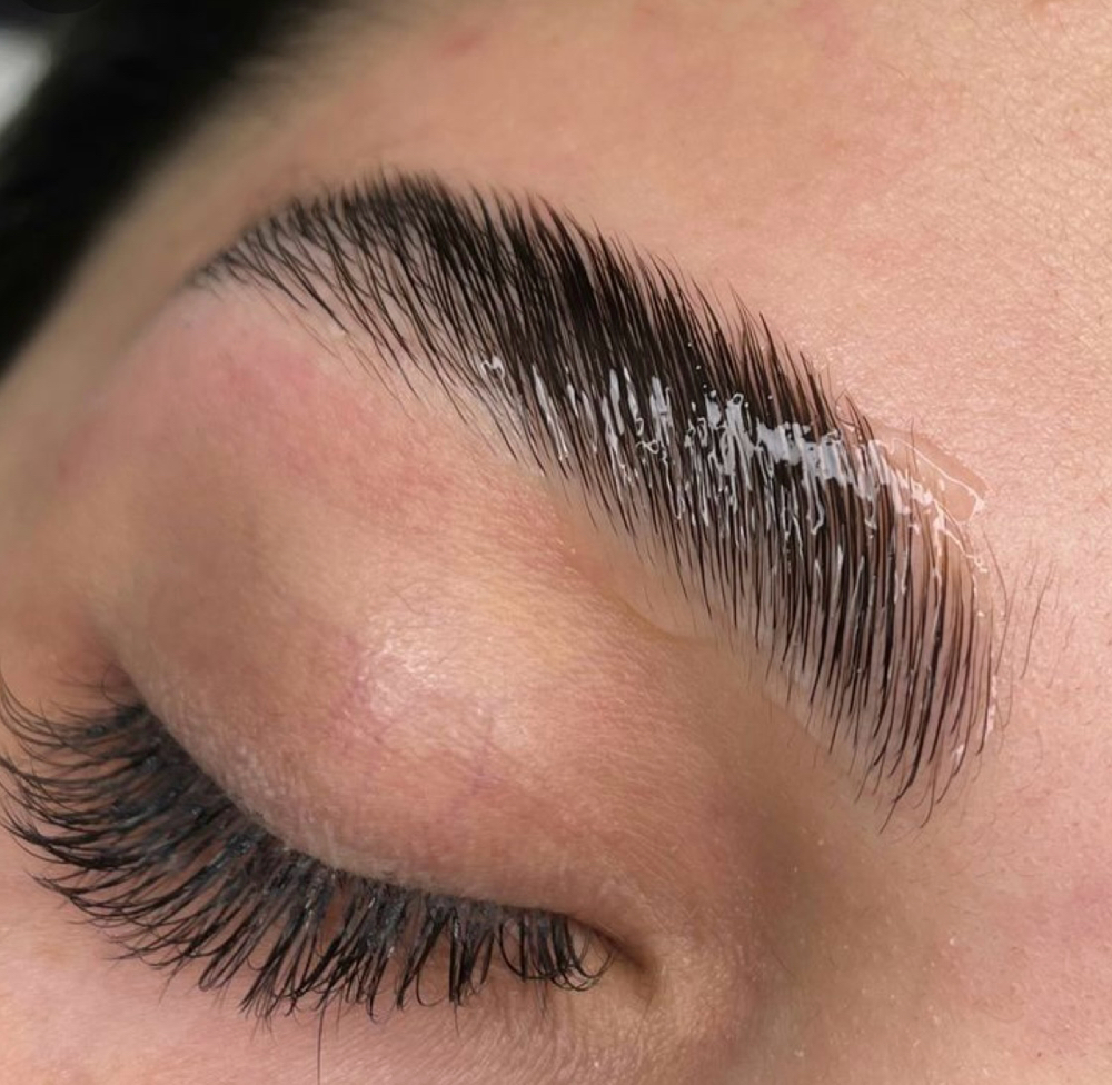 Brow Lami & Tint & Wax at HC Beauty Bar in Plant City, FL