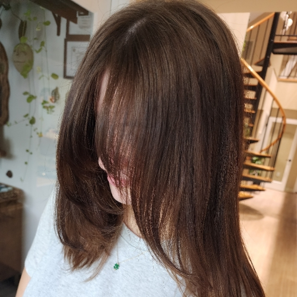 Hair Cut & Deep Conditioning at Shear Beauty in Londonderry, NH