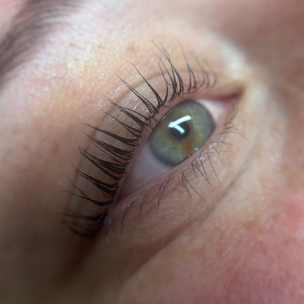 Lash Tint at Purfection Wax Studio in Albuquerque, NM