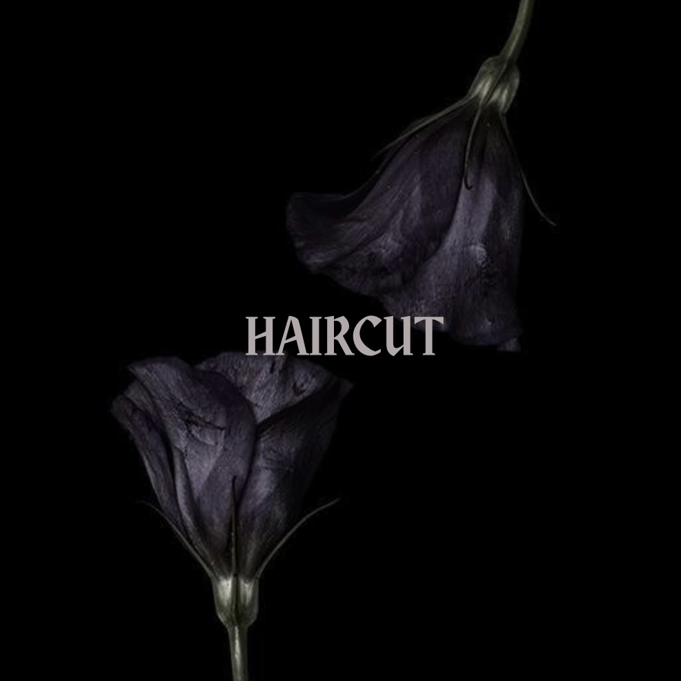 HAIRCUT
