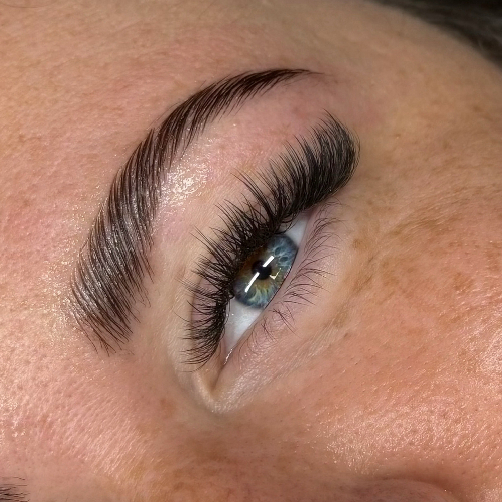 Brow Lamination, Wax + Tint at HD Lashes in Southgate, MI