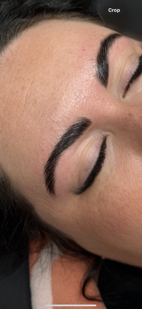 Brow Lamination, Wax + Tint