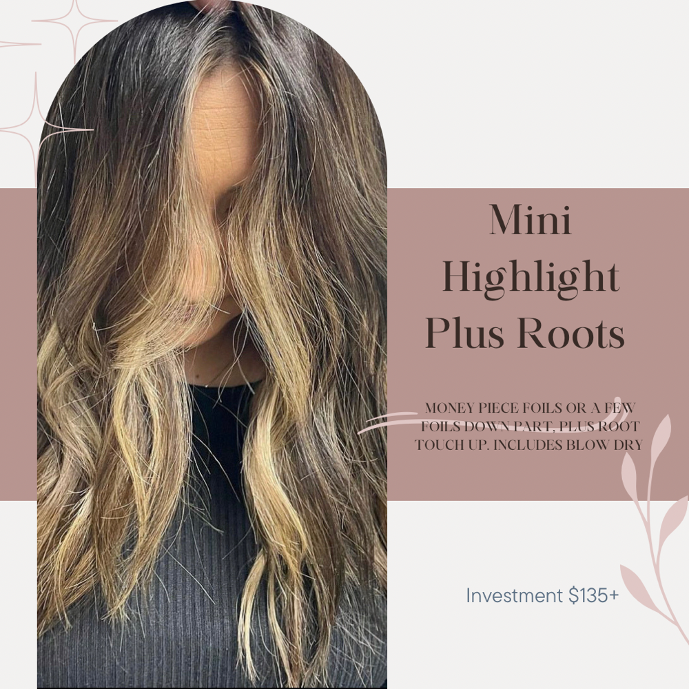 Mini HL/LL Root Color Touch Up