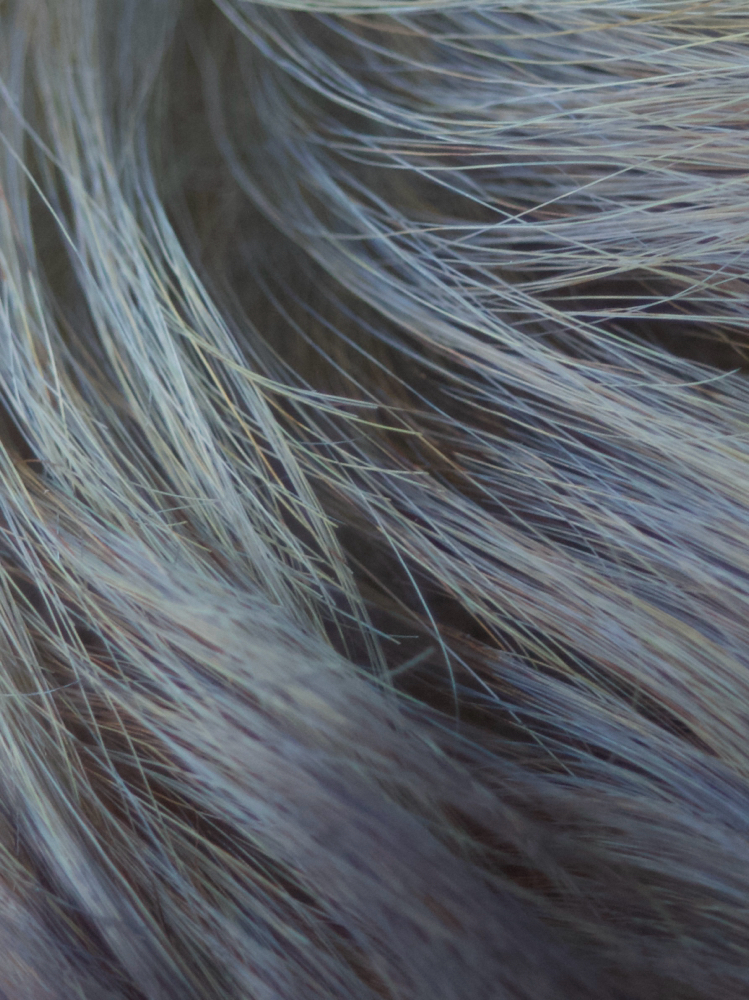 THE COLOR CONSULTATION at daisybeeville in Orange, CA
