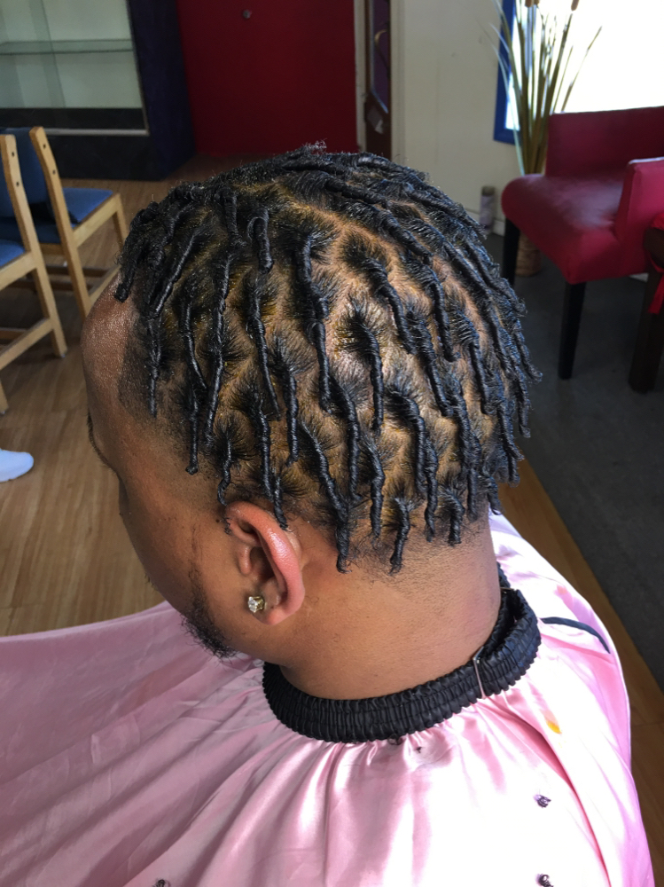 Comb Twist /starter Locs