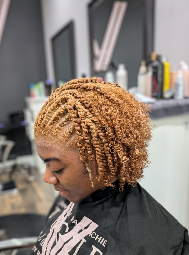 Shampoo & Style