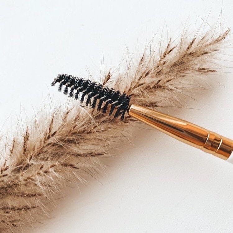 2-3 Week •Regular• Lash Fill