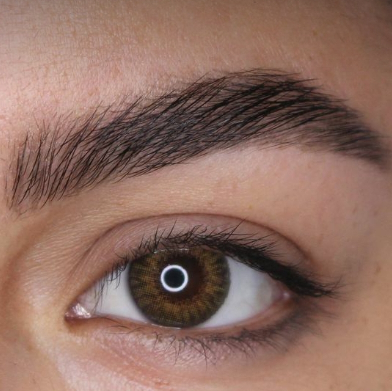 Eyebrow Lamination