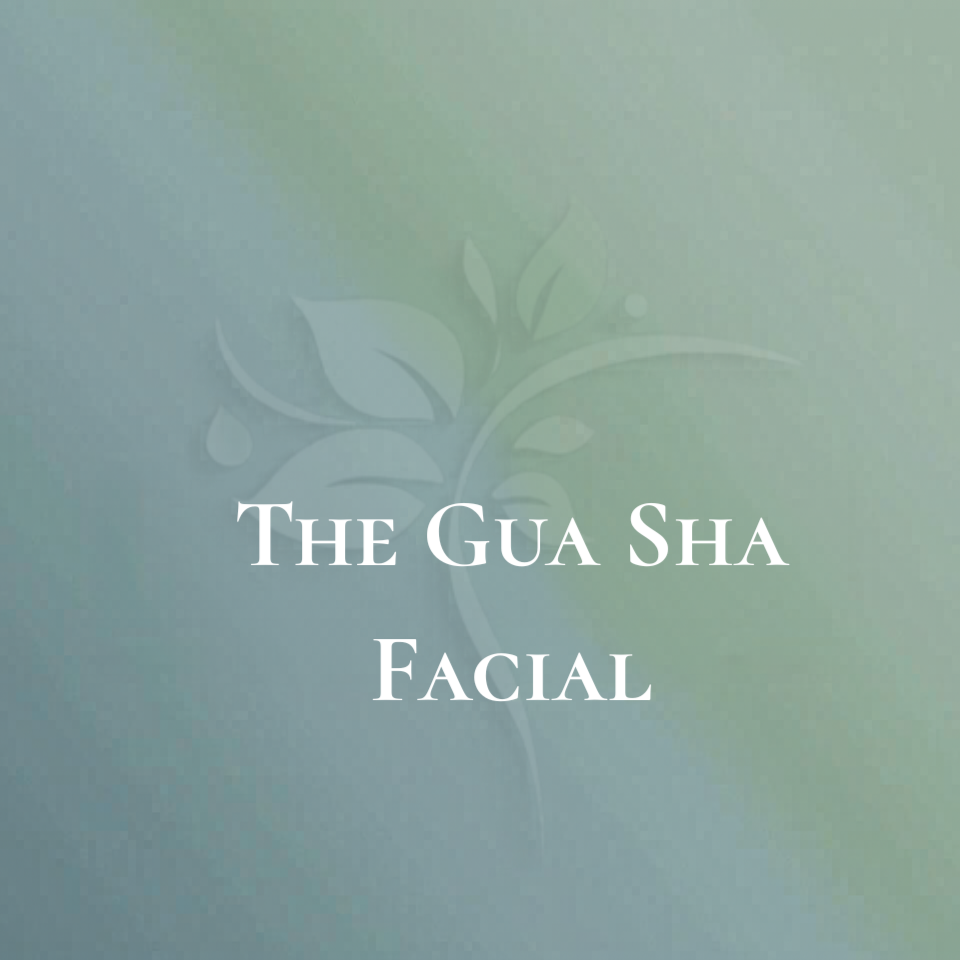 The Gua Sha Facial at Elysian Esthetics Spa in Loganville, GA