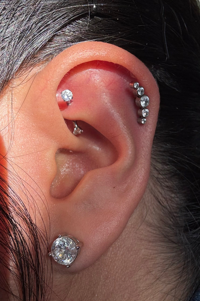Rook