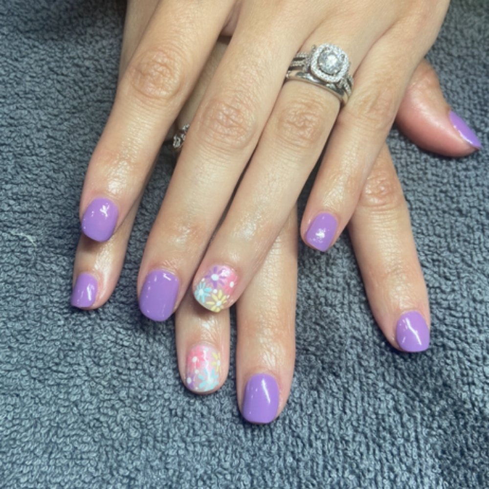 Plexigel Shaper Add-on at Elevated Esthetics in Fenton, MI
