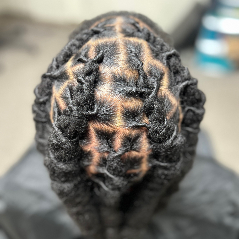Loc Style at DeeplyRootedSalon in Iowa City, IA