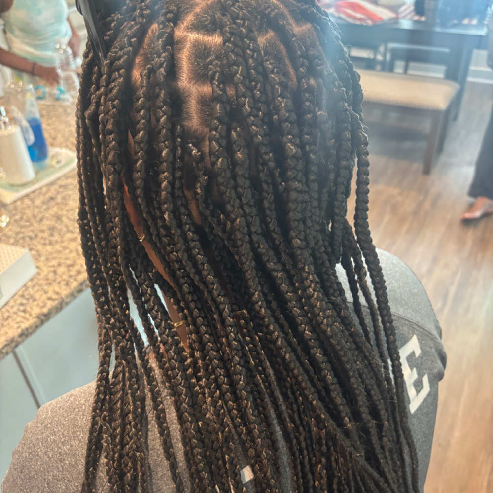 Protective Style With extensions at L Stylez Beauty Bar Llc in Fredericksburg, VA