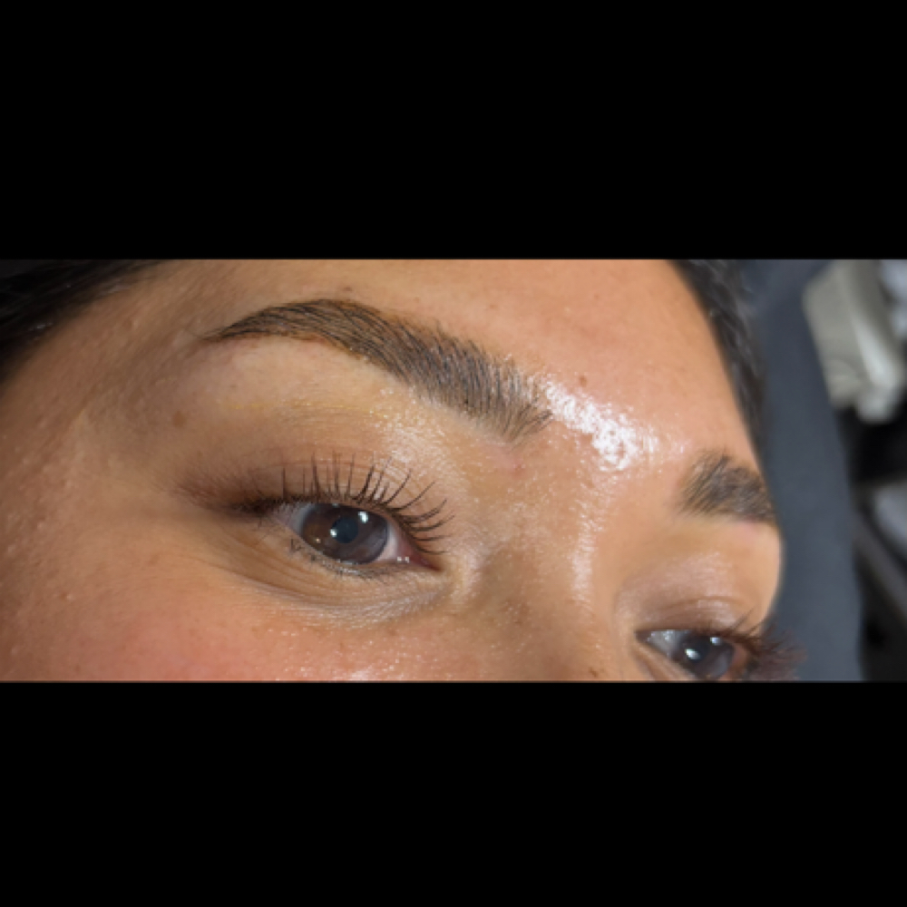 Brow Lami/Wax/Tint Bundle at Esthetics By Camille in Cedar Rapids, IA