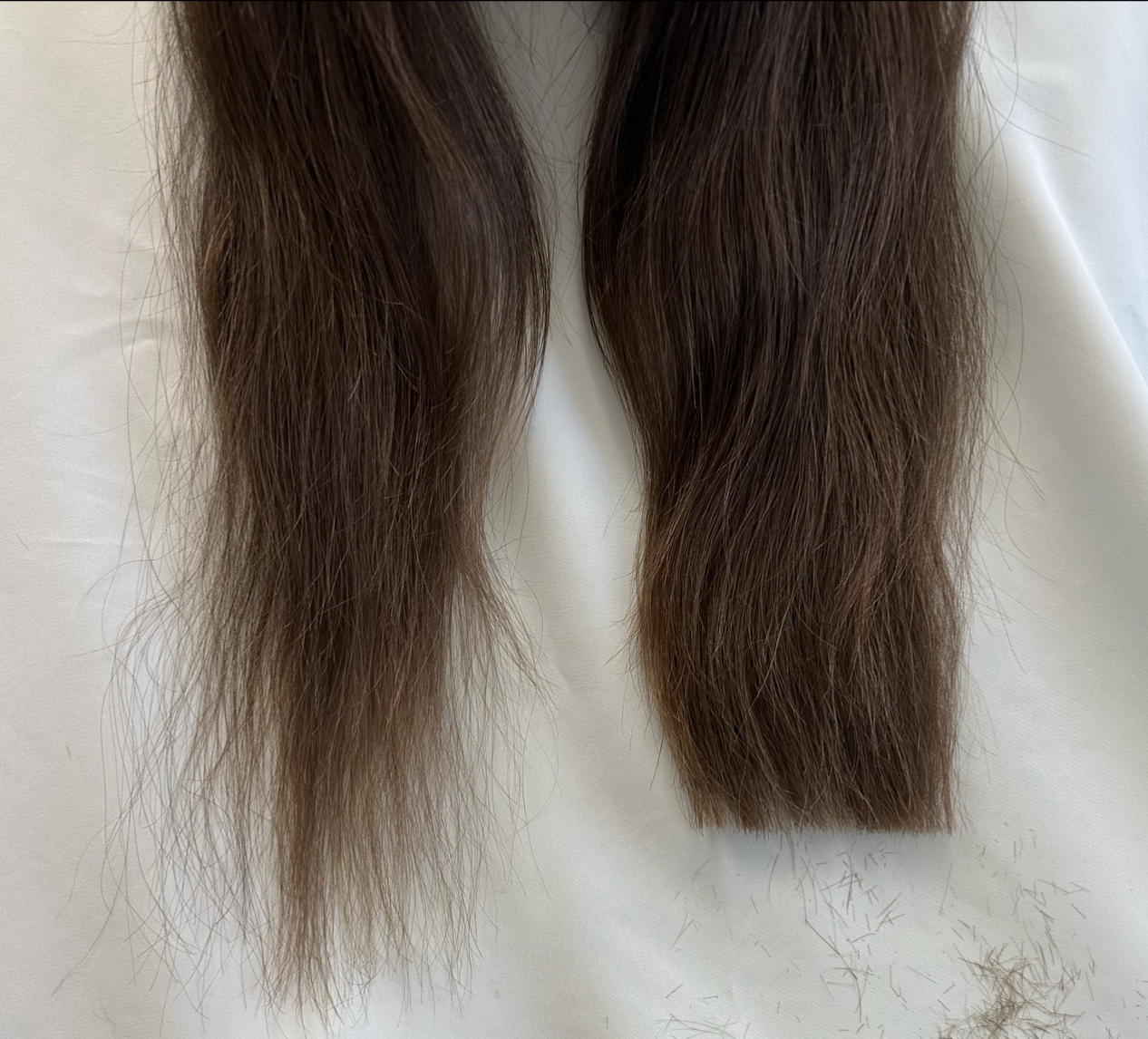 Haircut, with a blowdry at Hair with Meg in East Brunswick, NJ