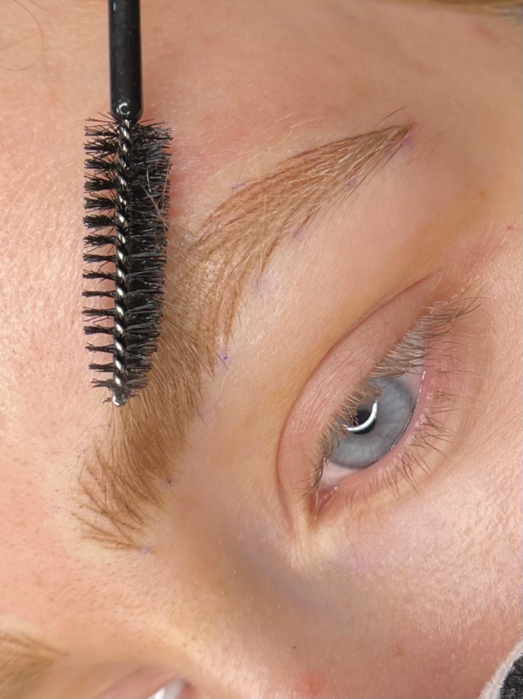 Gender Affirming Brow Refresh