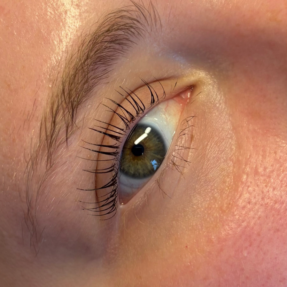 Duo Special Korean Lash Lift & Tint at Blinx Beauty in Nicholasville, KY