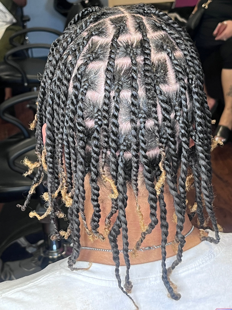 Two Strand Twist