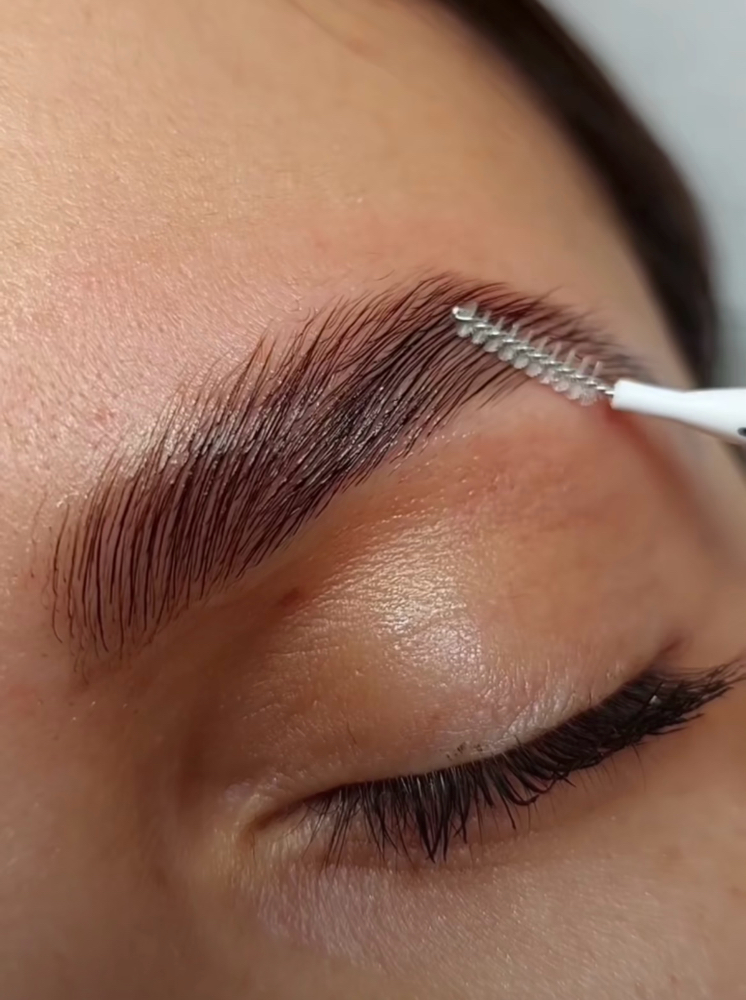 MODEL BROW LAMINATION