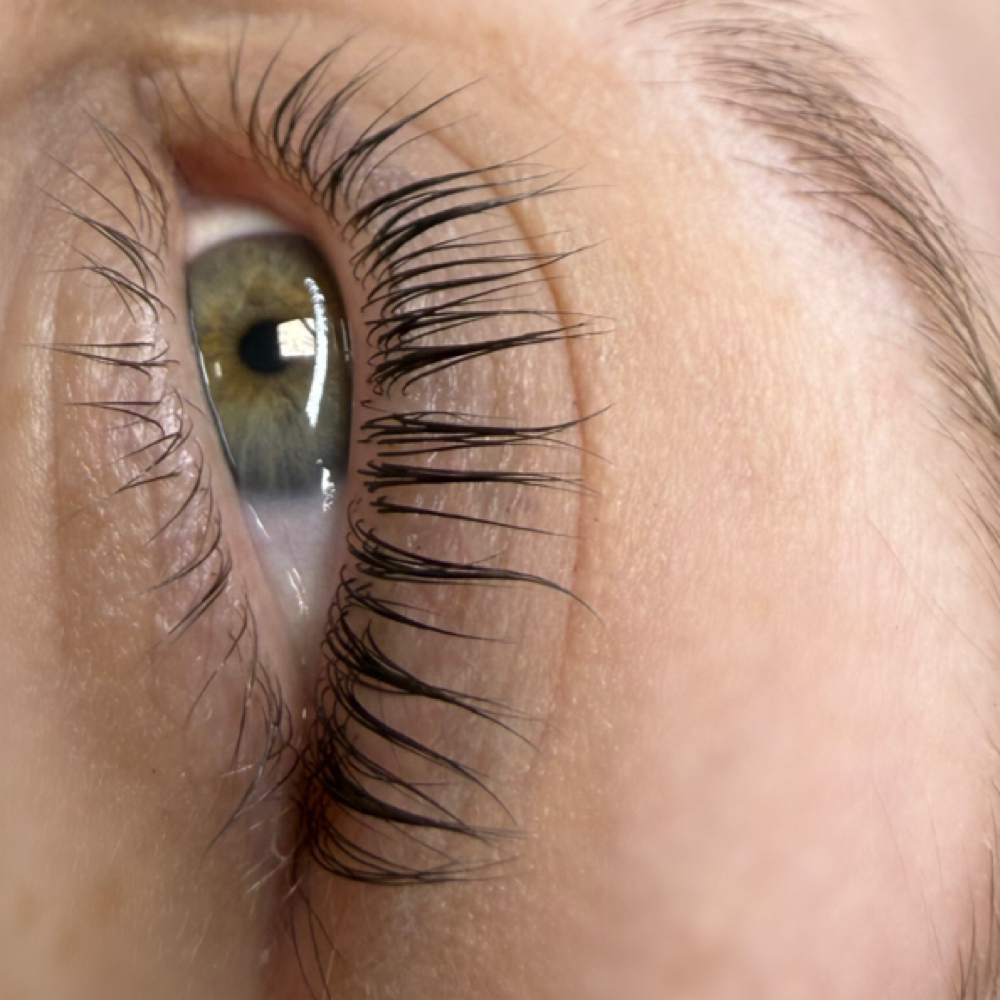 Lash Lift/Tint at À La Mode Salon in Rochester, MN