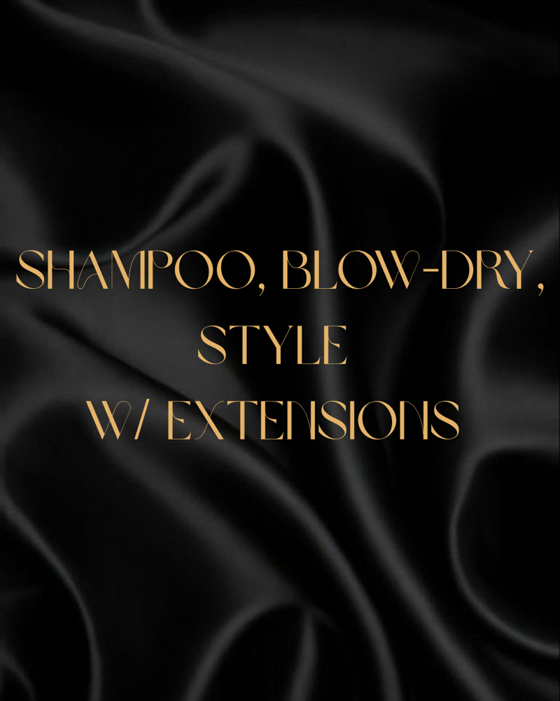 Shampoo,Blowdry,Style W/ Extensions