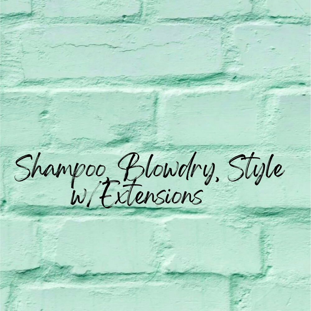 Shampoo,Blowdry,Style W/ Extensions