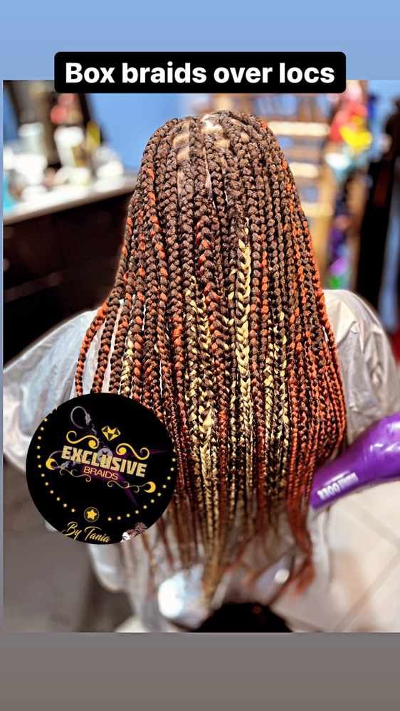 Box Braids Over Locs