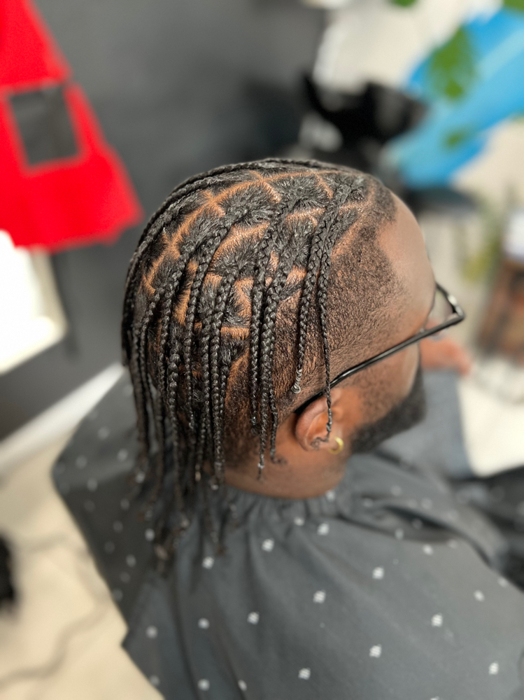 Twist/Braids No Hair Sides Shaved