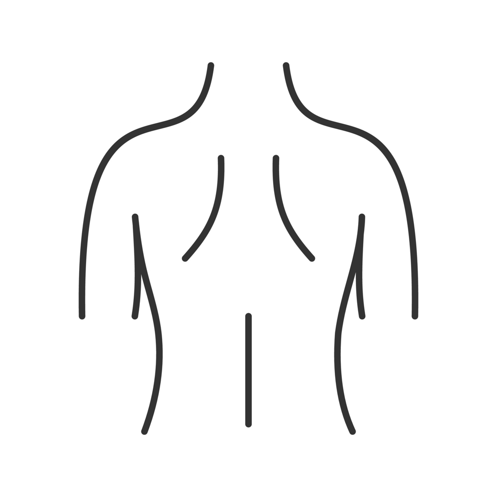 Lower Back