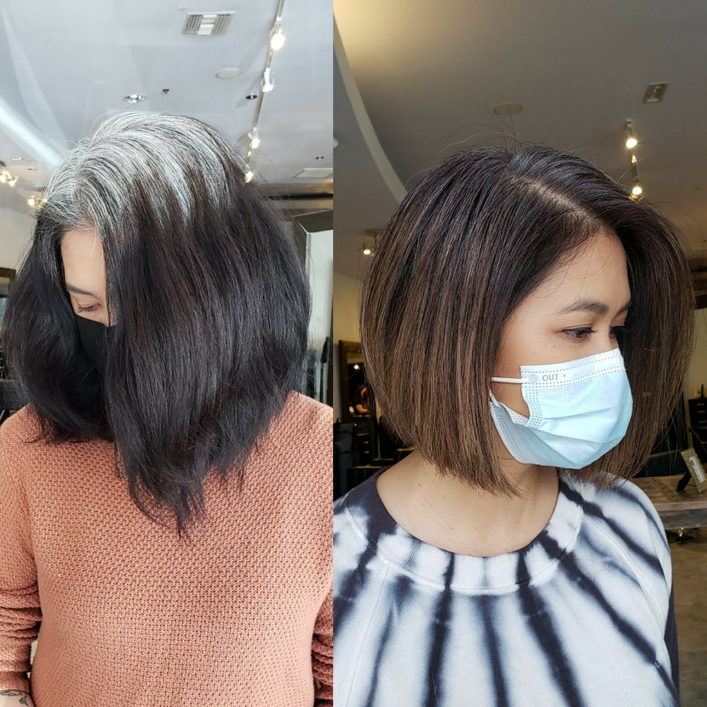 Gray Hair Coverage / Root Touch Up