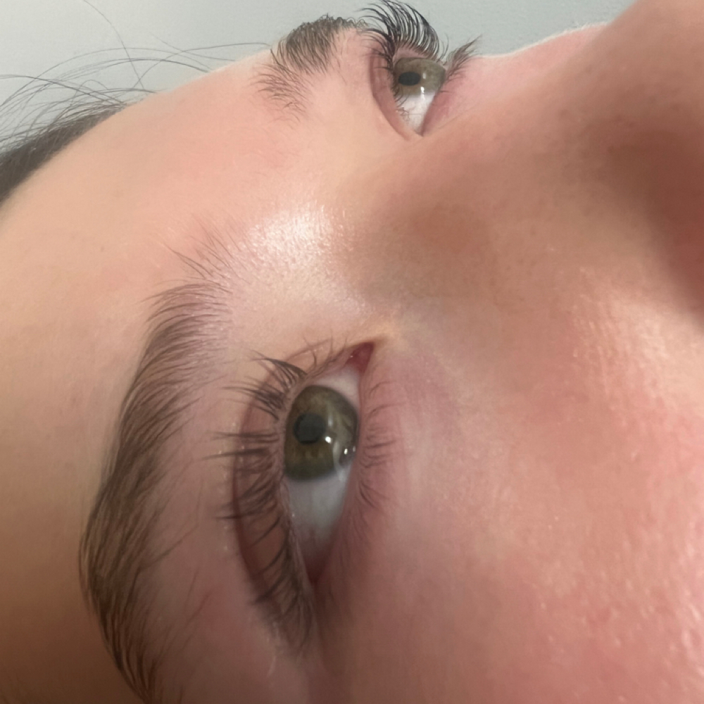Lash Lift/Tint at Glamorous Beauty By Alisha Woodson in Jonesboro, AR